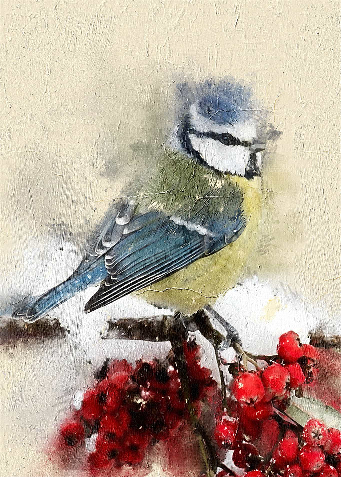 Watercolor Bird Painting