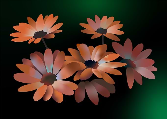 Wild Flowers
