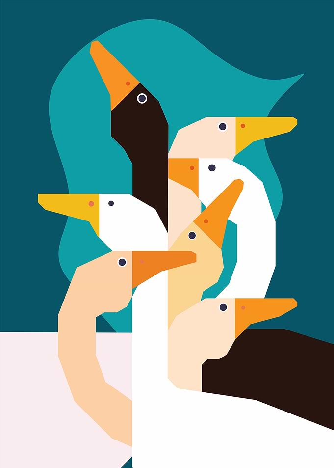 Aesthetic goose