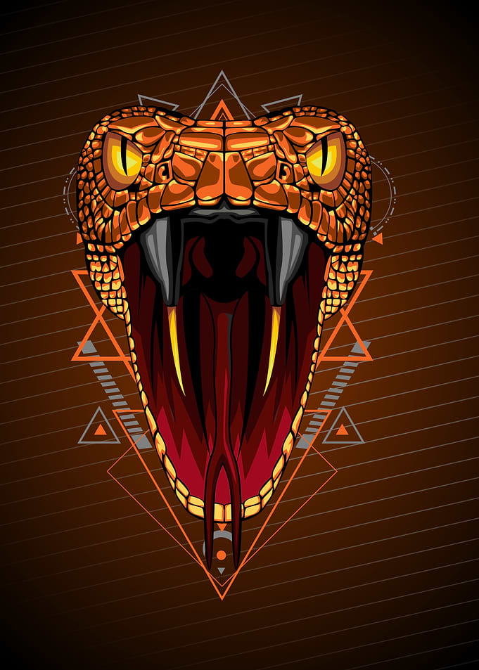 COBRA NEW