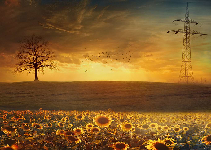 Sunset Sky Landscape