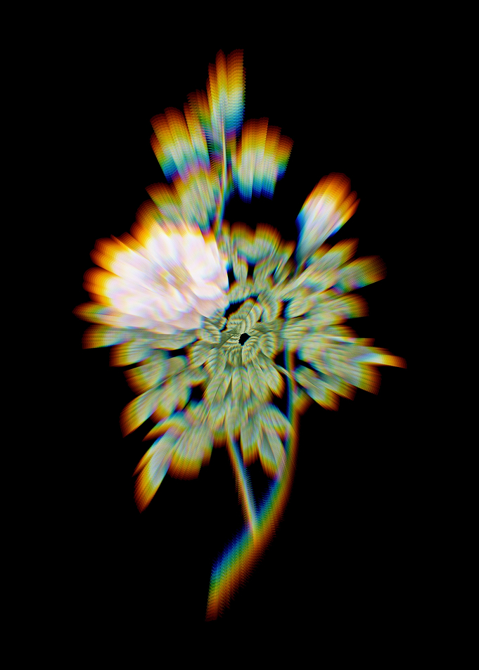 Prism Ventenats Rose Flora