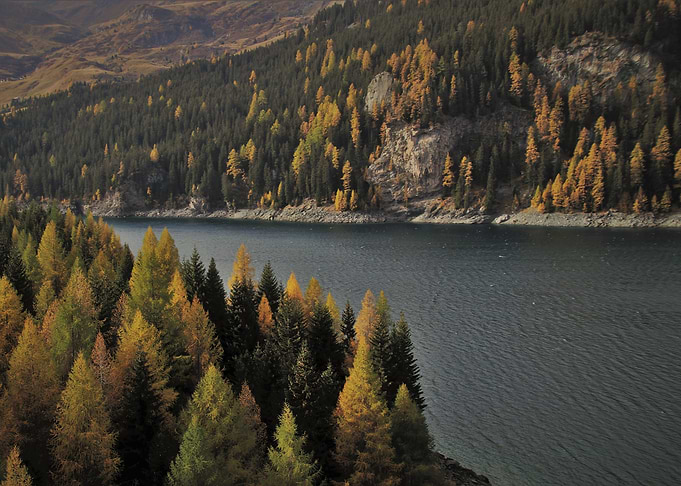 Twilight Lake Alpine