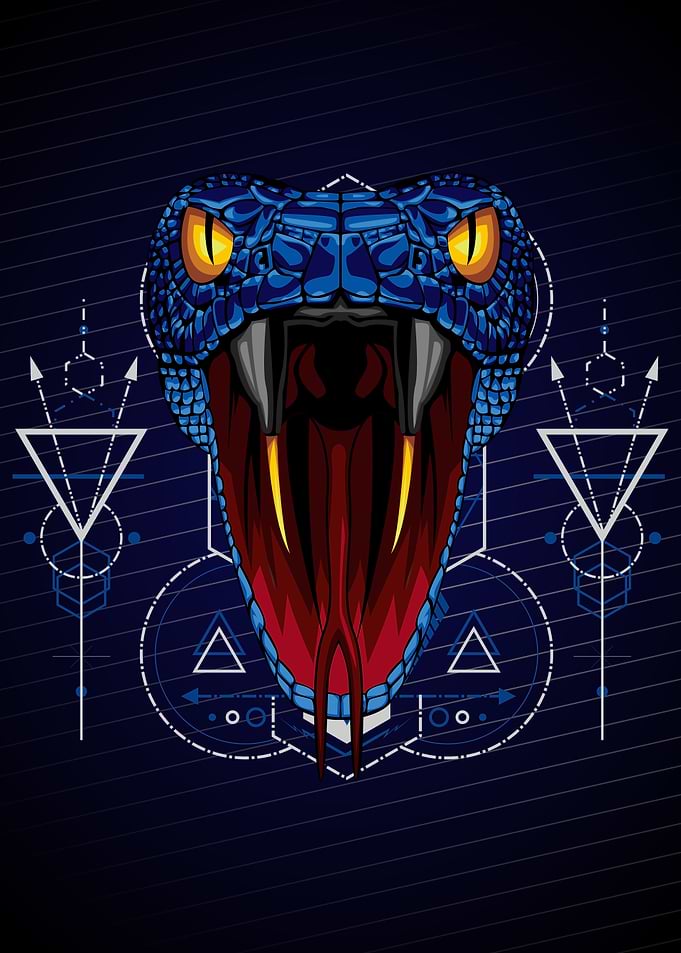 DARK BLUE COBRA