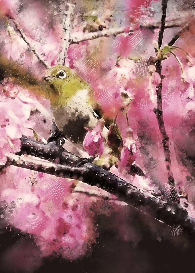 Watercolor Bird Painting
