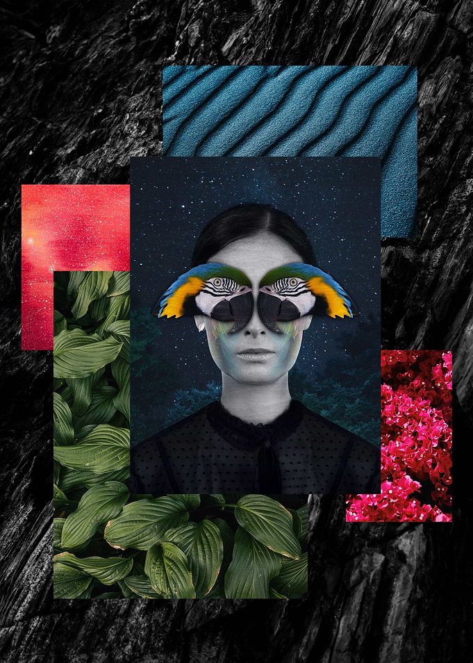 Moodboard Fairy