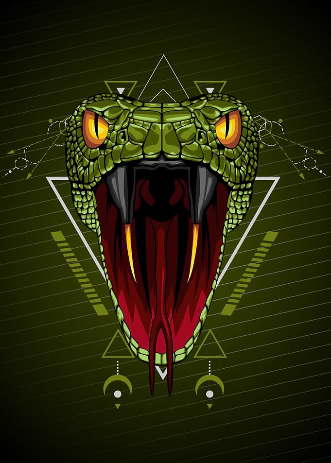 VIPER SNAKE