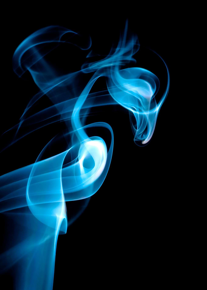 Smoking Blue Bird