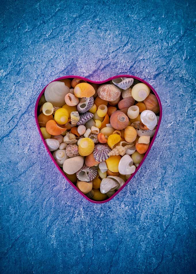 Seashell heart