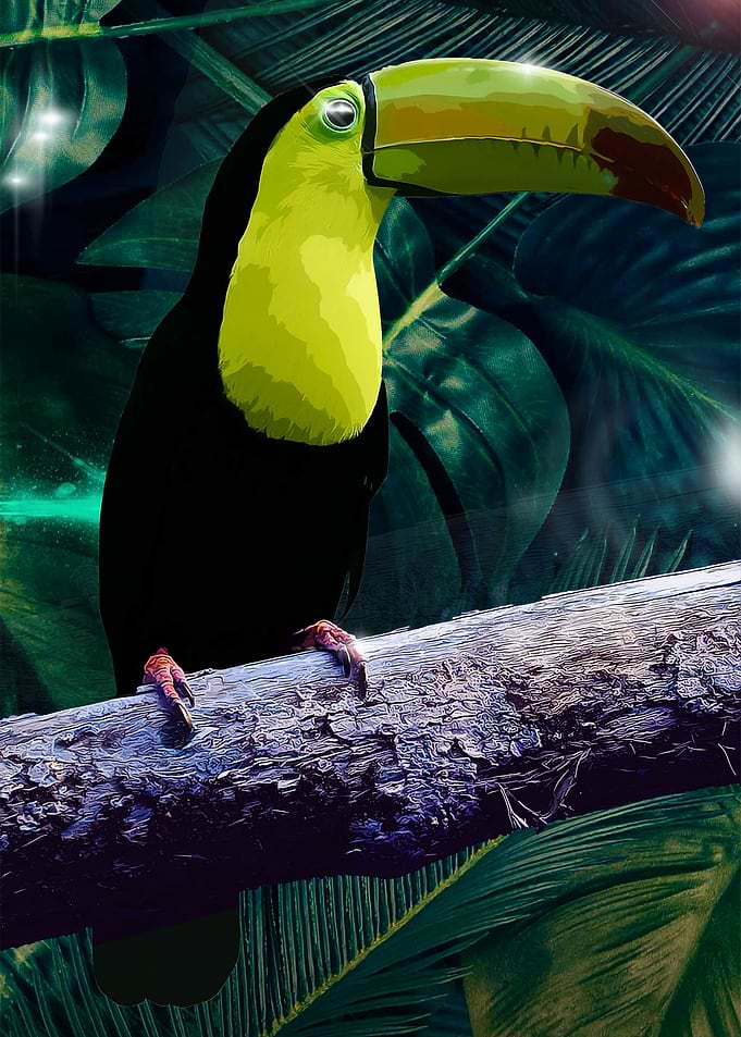 vector of parrots