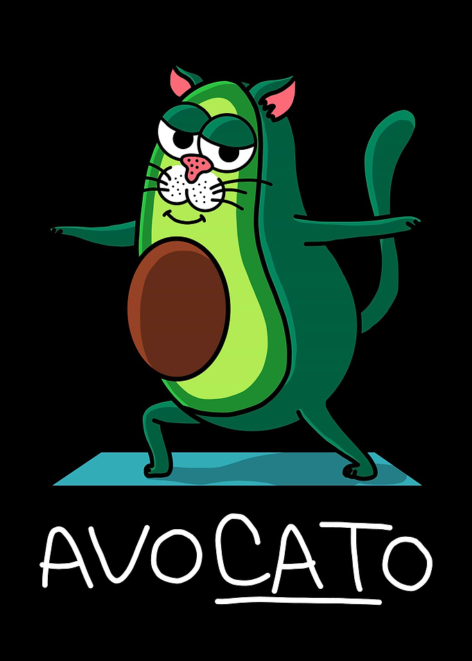 Avocato