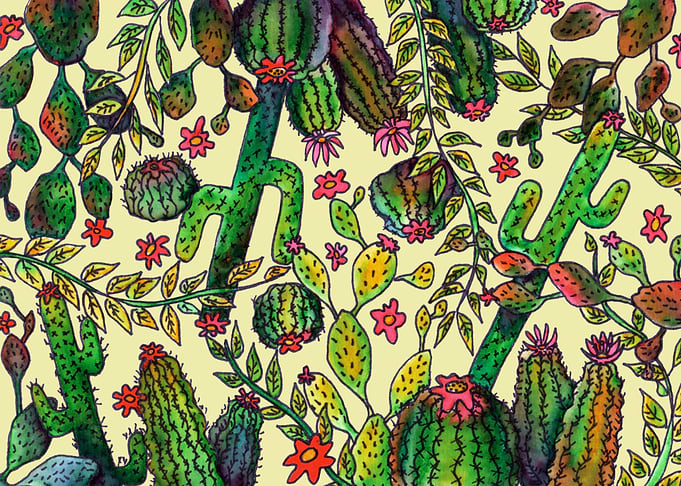 Cactus Pattern