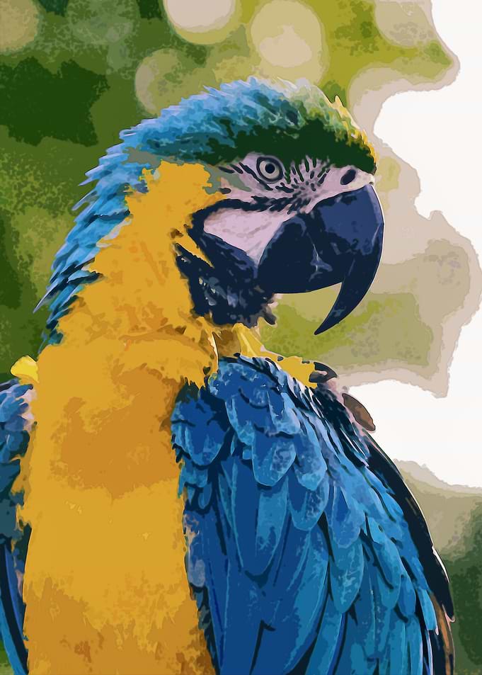 Bird Water Color