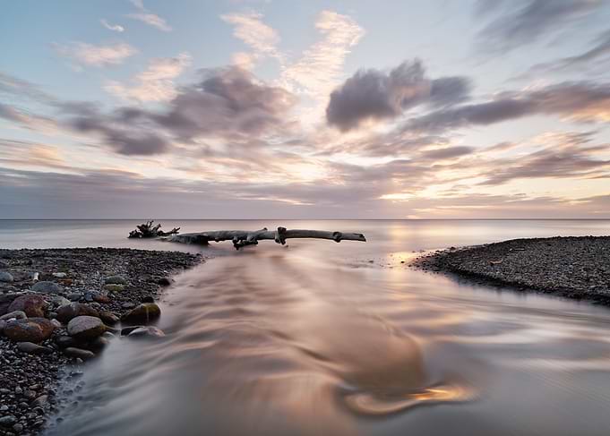 Coast river and driftwood