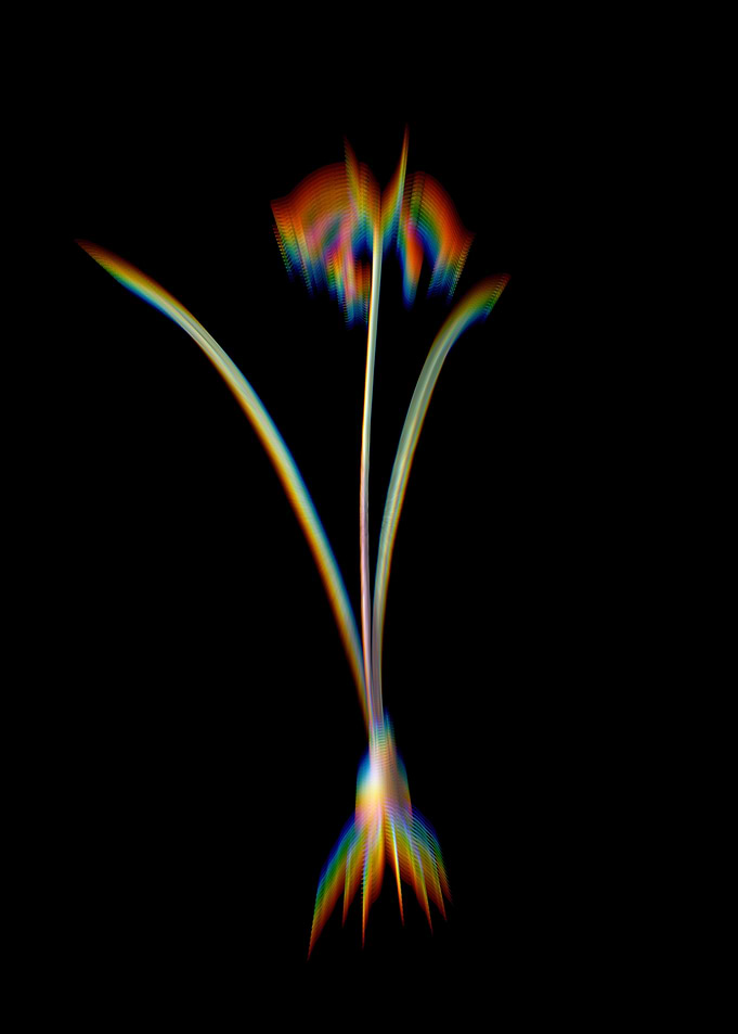 Prism Brandlelie