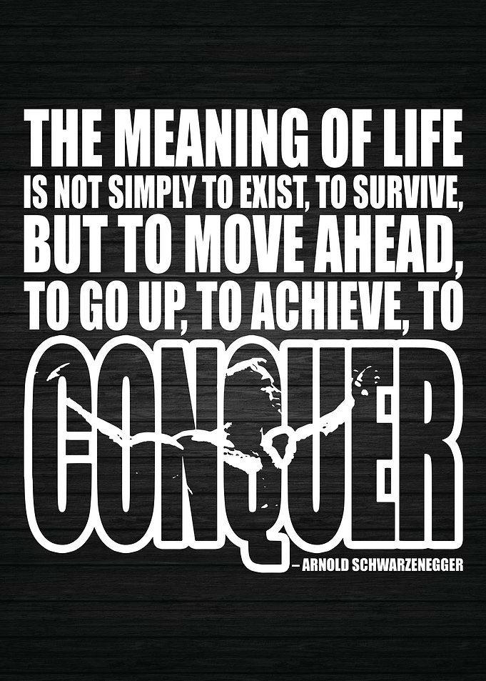 CONQUER Meaning Of Life