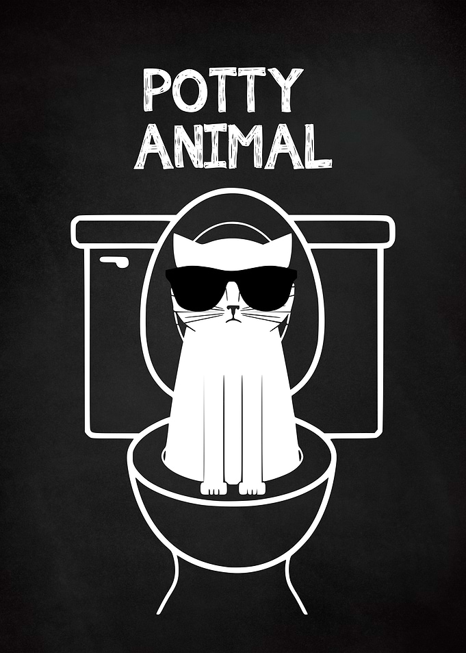Funny Potty Animal Chalk