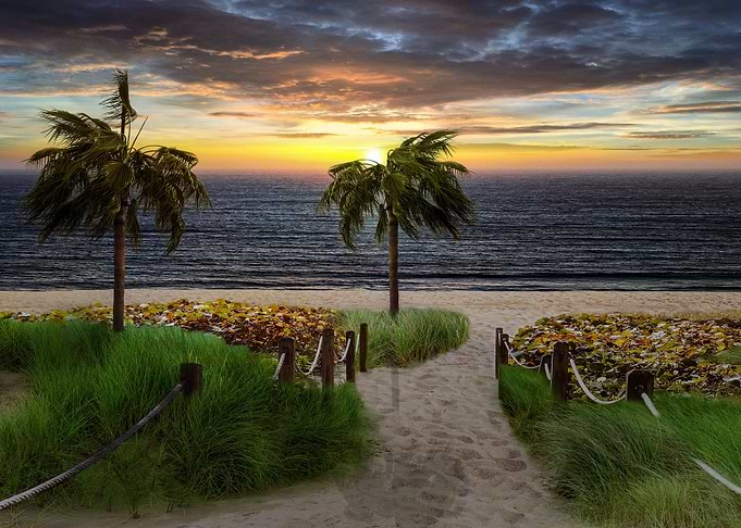 Beach Sunset