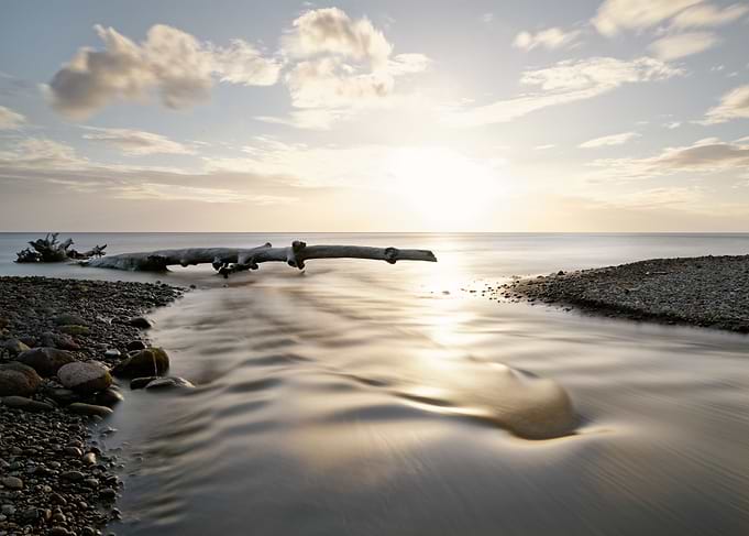 Sunset with driftwood