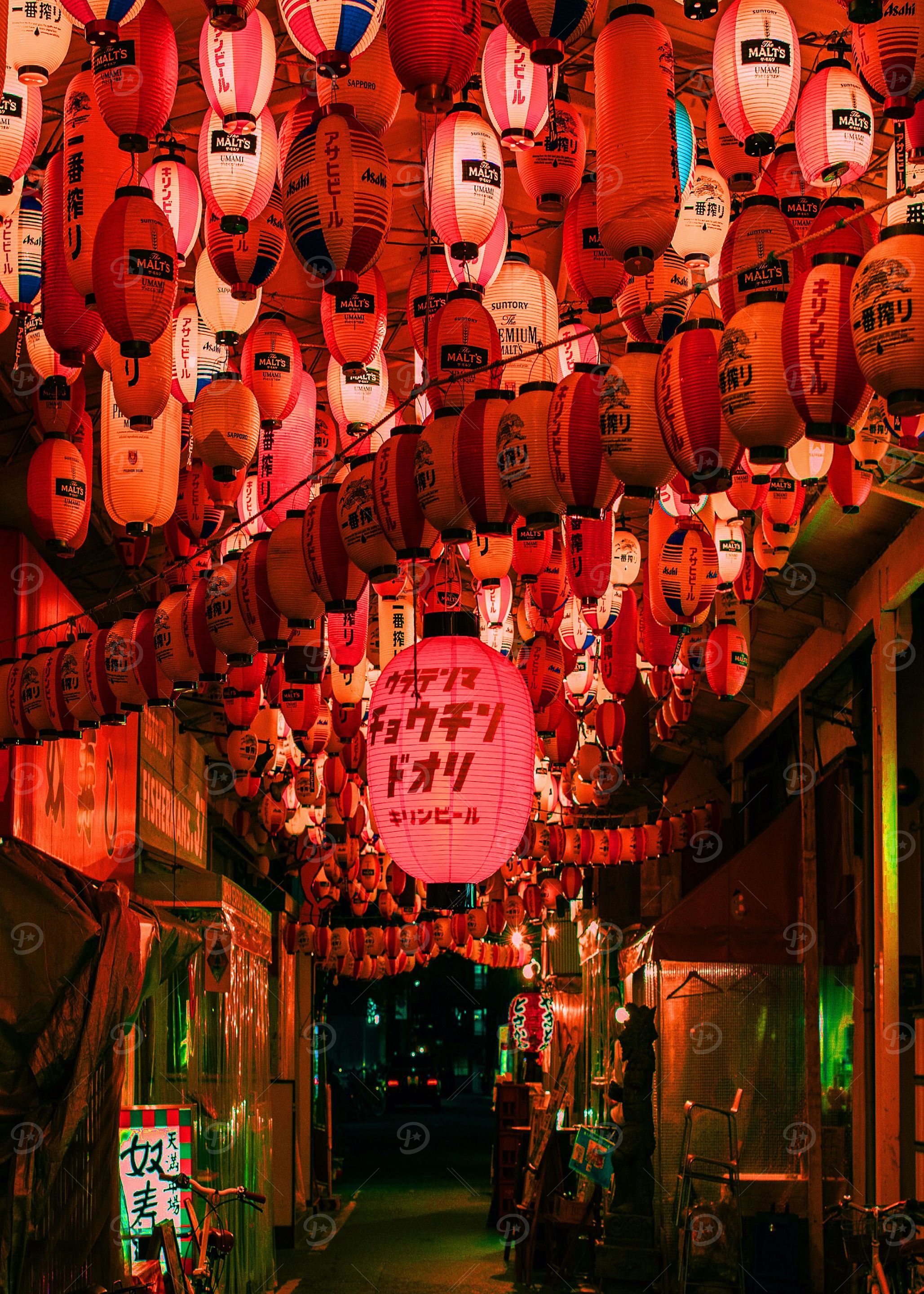 Japan 044