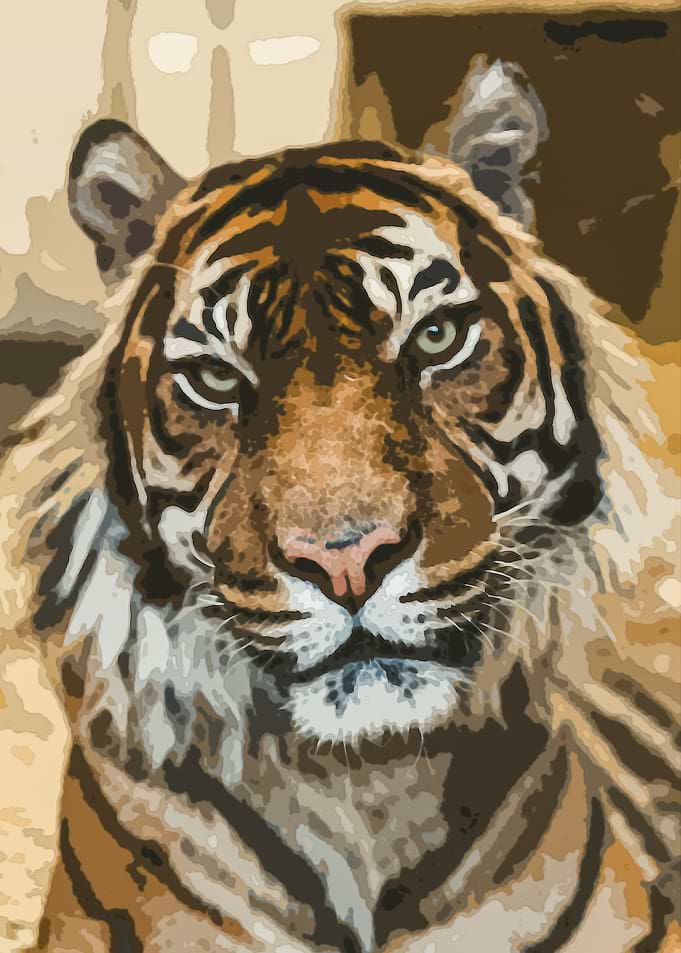 Tiger Water Color