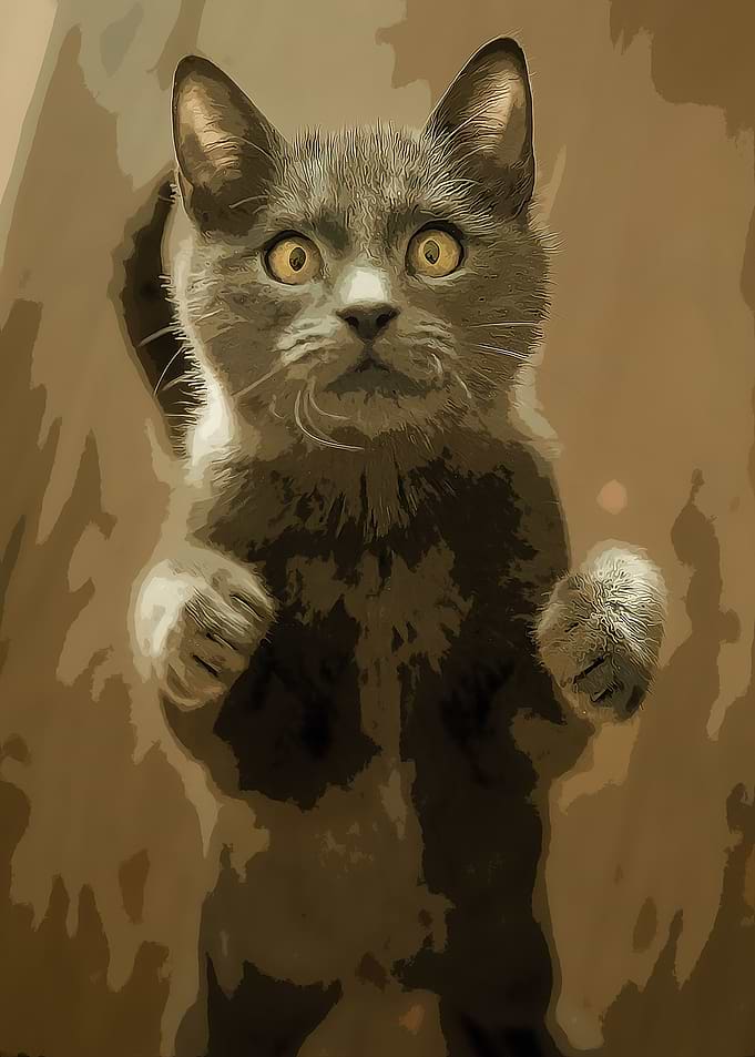 GRAY CAT STANDING