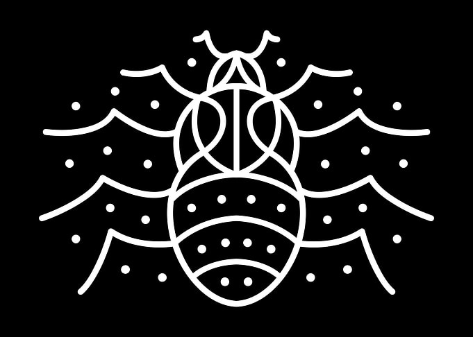 Insect
