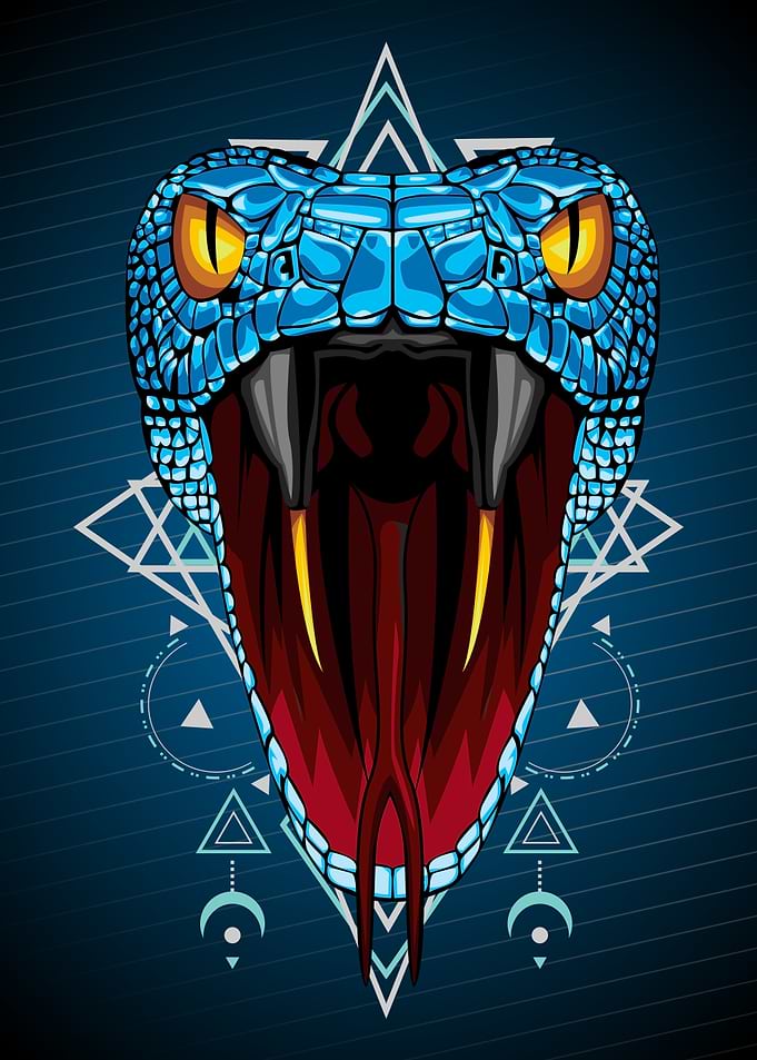 ANGRY SNAKE