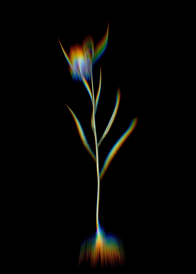 Prism Chess Flower