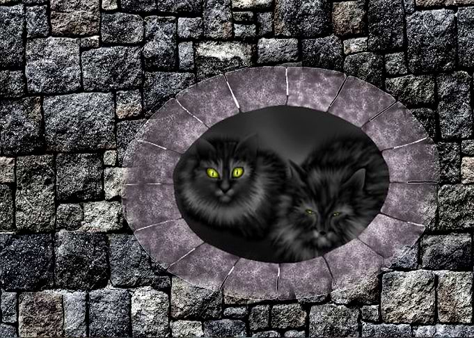 Wall Cats