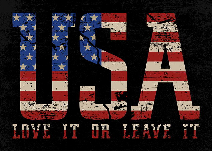 USA Love it or leave it