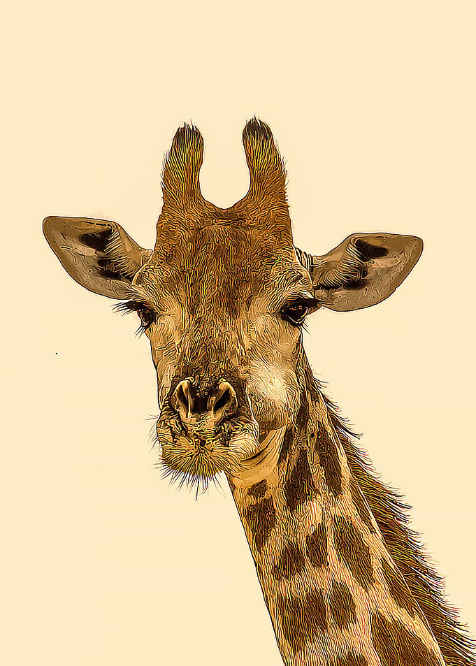 GIRAFFE
