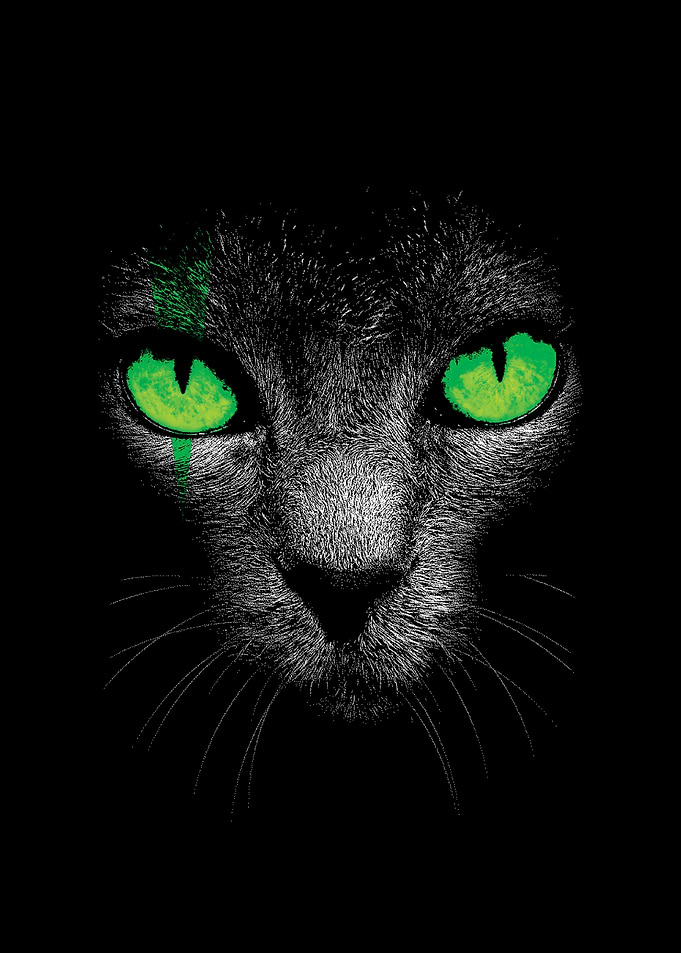 Black Cat with Green Eyes
