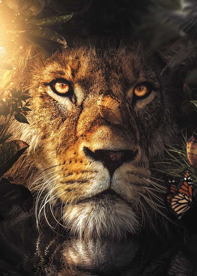 The Hiding Lion