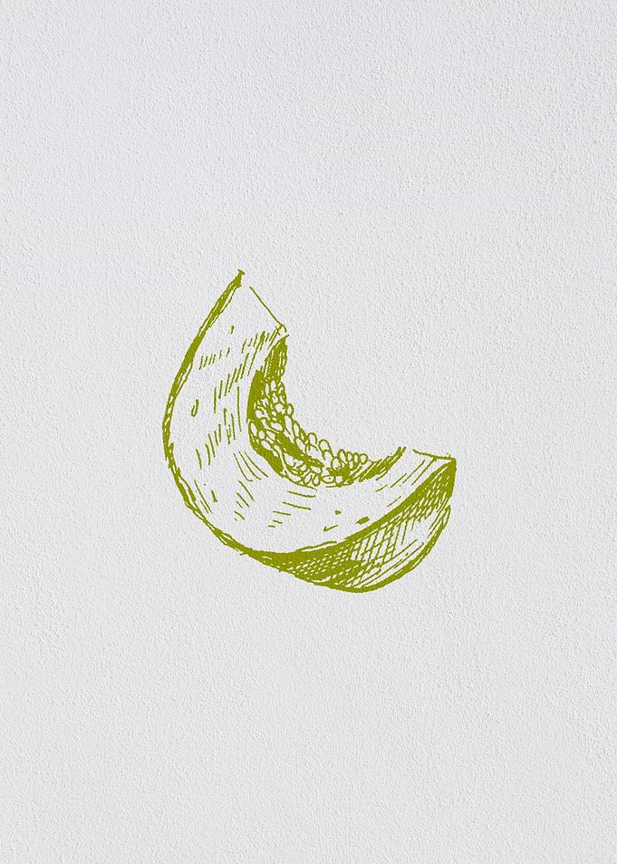 Minimal Vegetable Squash