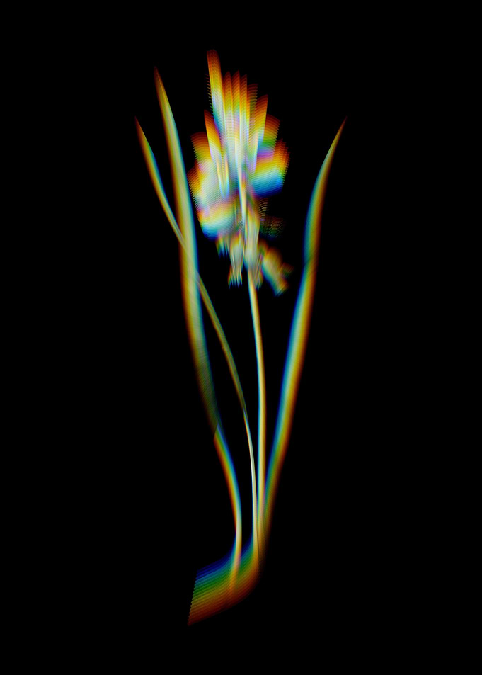 Prism Star of Bethlehem