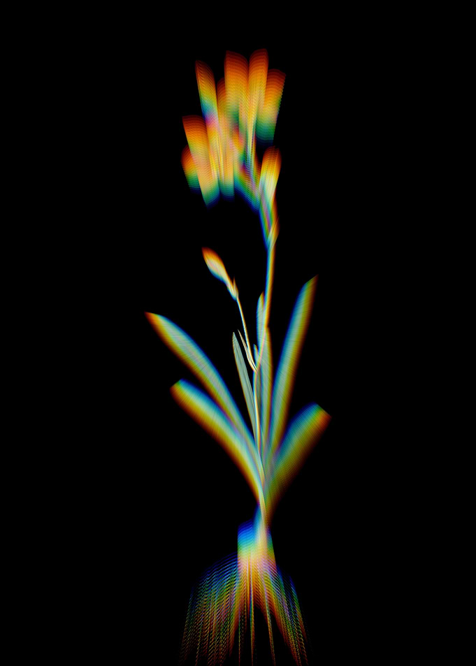 Prism Coppertips