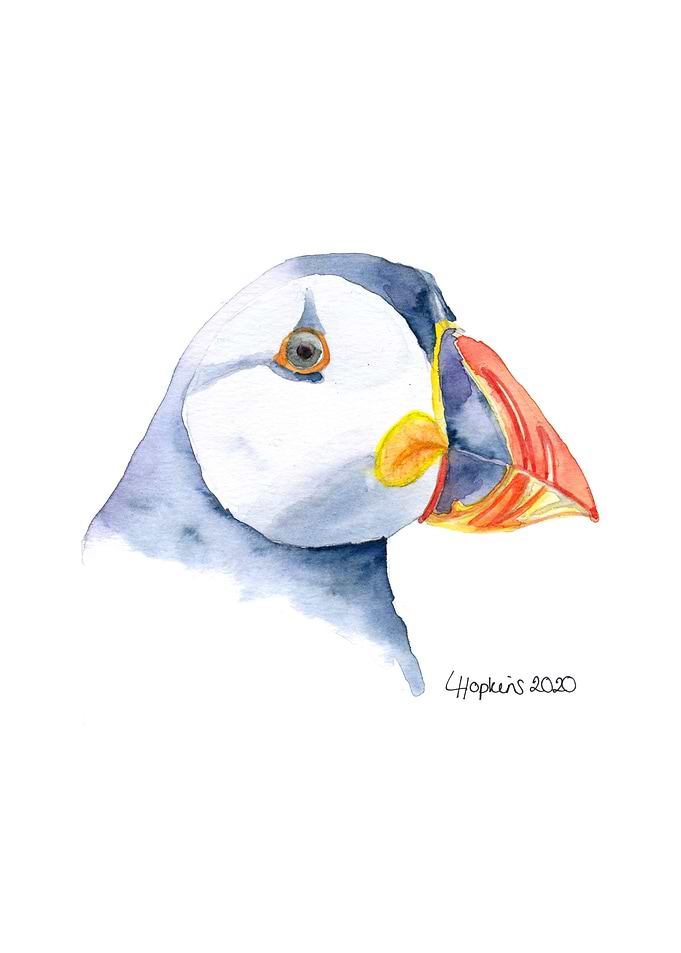 puffin watercolor art
