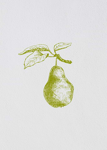 Minimalist Fruit Pear