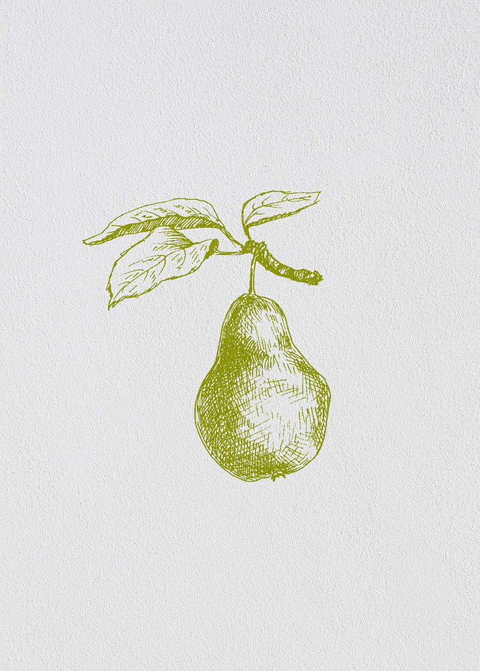Minimalist Fruit Pear