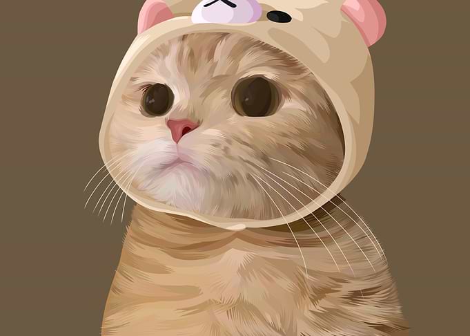 Cat Cartoon Illustration