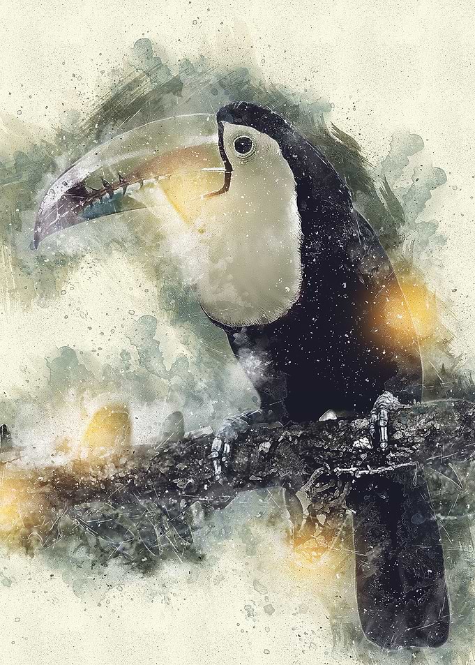 Watercolor Bird Painting
