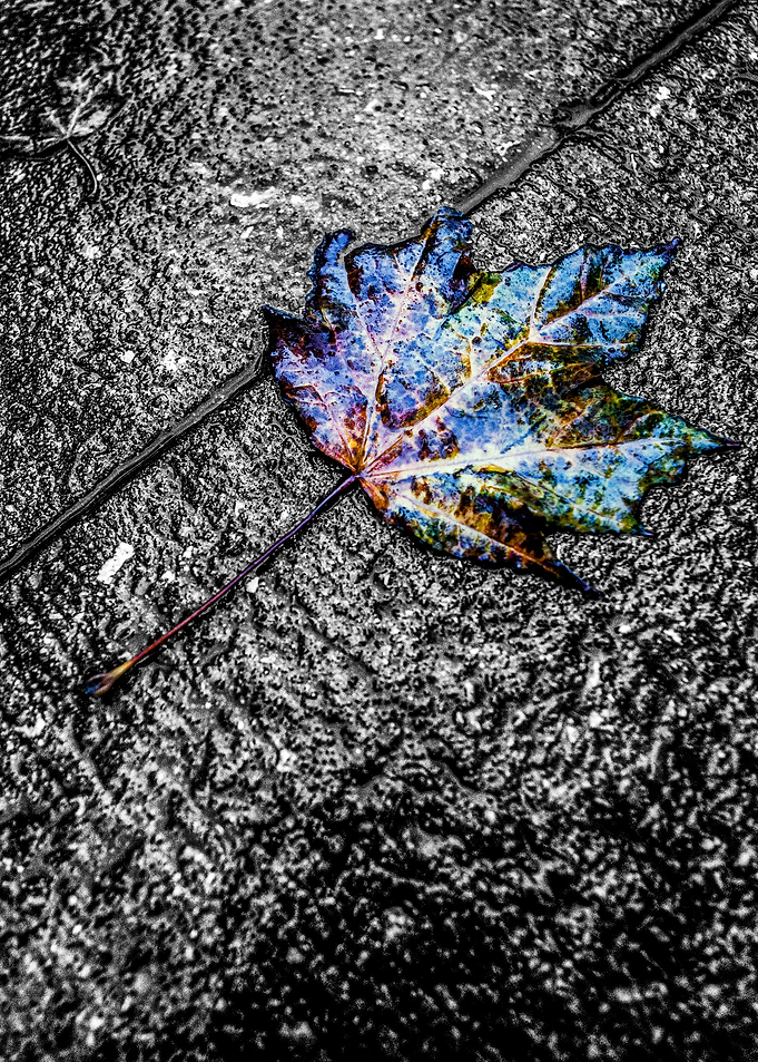 Fall