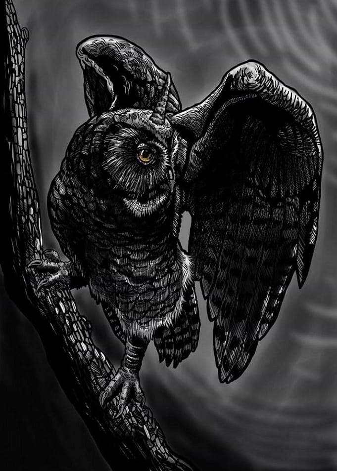 Unicorn Owl