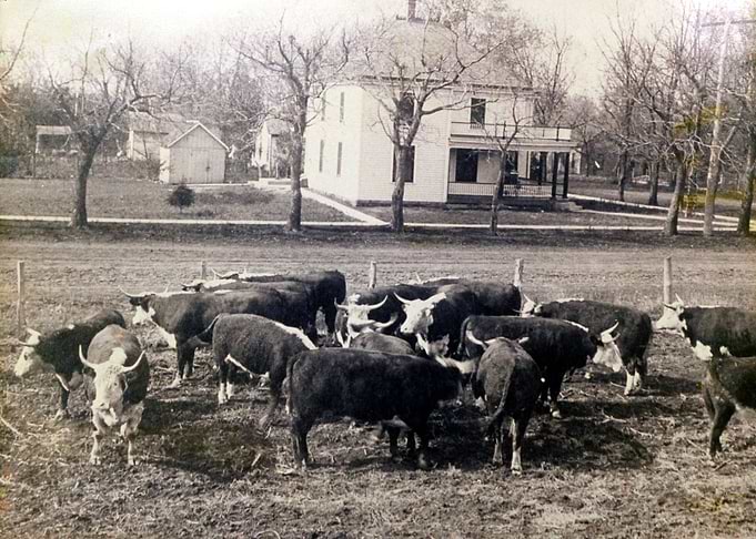 Bailey Stockyards