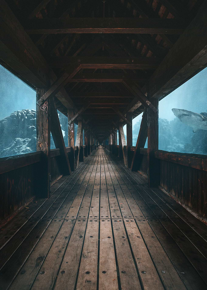 Underwater Walk