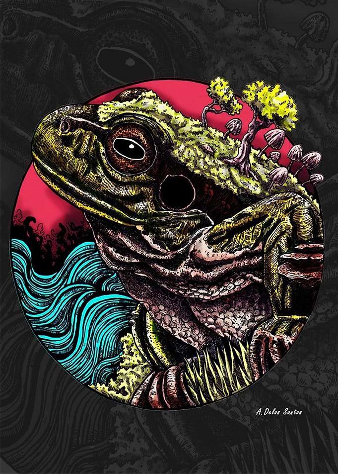 Frog