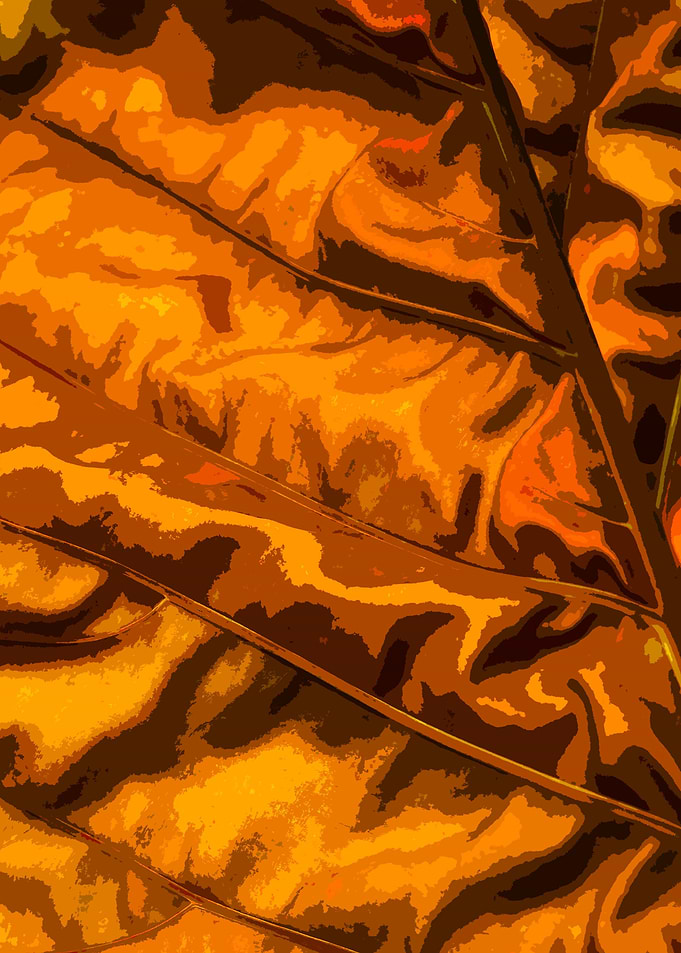 GOLD LEAVES