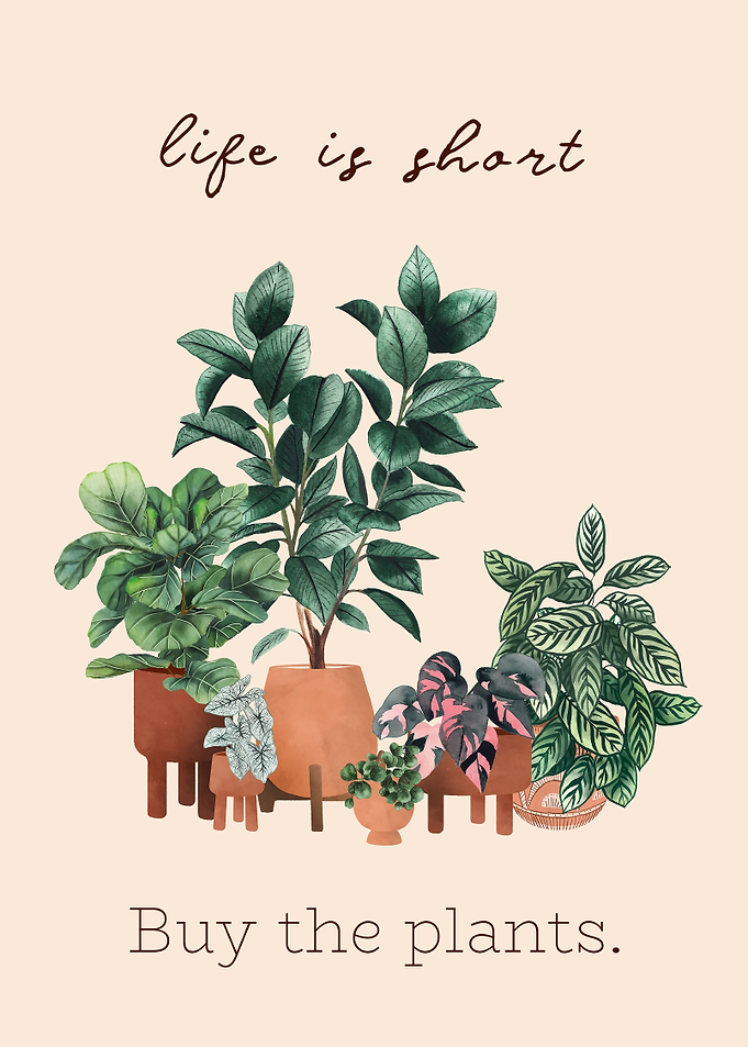 Buy the plants art