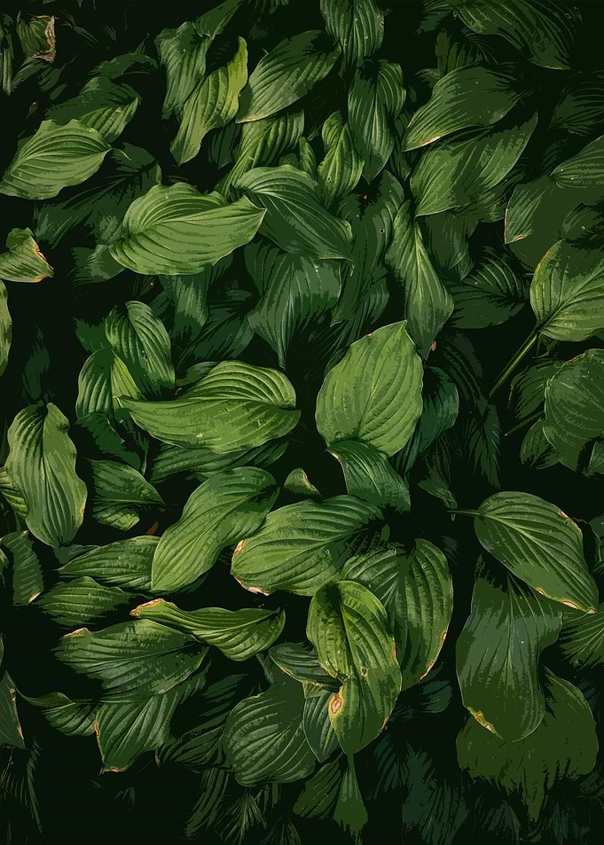 GREEN LEAVES